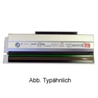 Zeige Details für TTP-286MT, TTP-384MT 203dpi Bild von TTP-286MT, TTP-384MT 203dpi